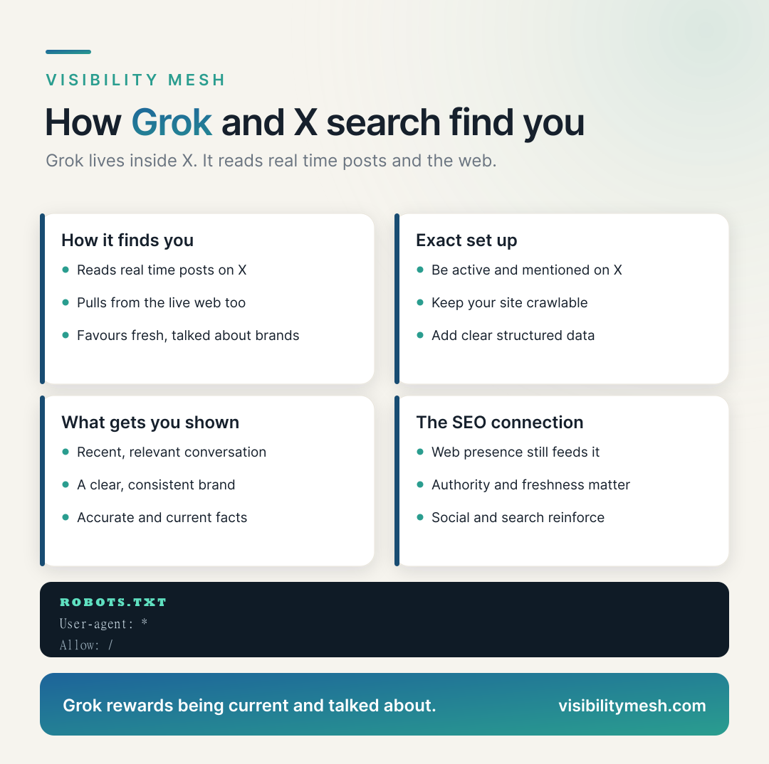 How Grok and X Search Find Your Store. A Visibility Mesh infographic for ecommerce AI visibility.