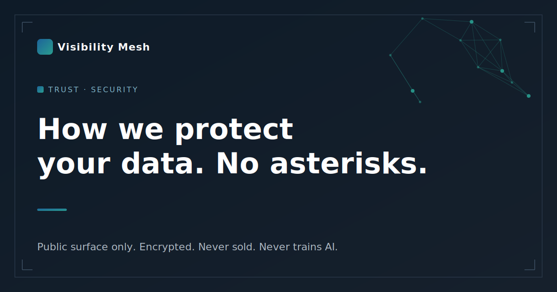 How Visibility Mesh protects your data — public surface only, encrypted, never sold