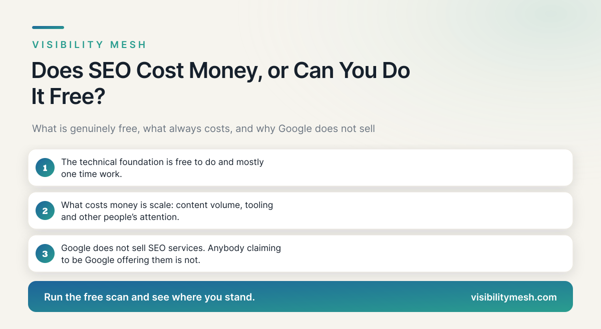 Does SEO Cost Money, or Can You Do It Free?. A Visibility Mesh guide for ecommerce AI visibility.