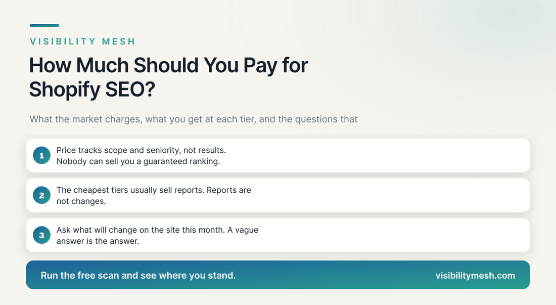 How Much Should You Pay for Shopify SEO?. A Visibility Mesh guide for ecommerce AI visibility.