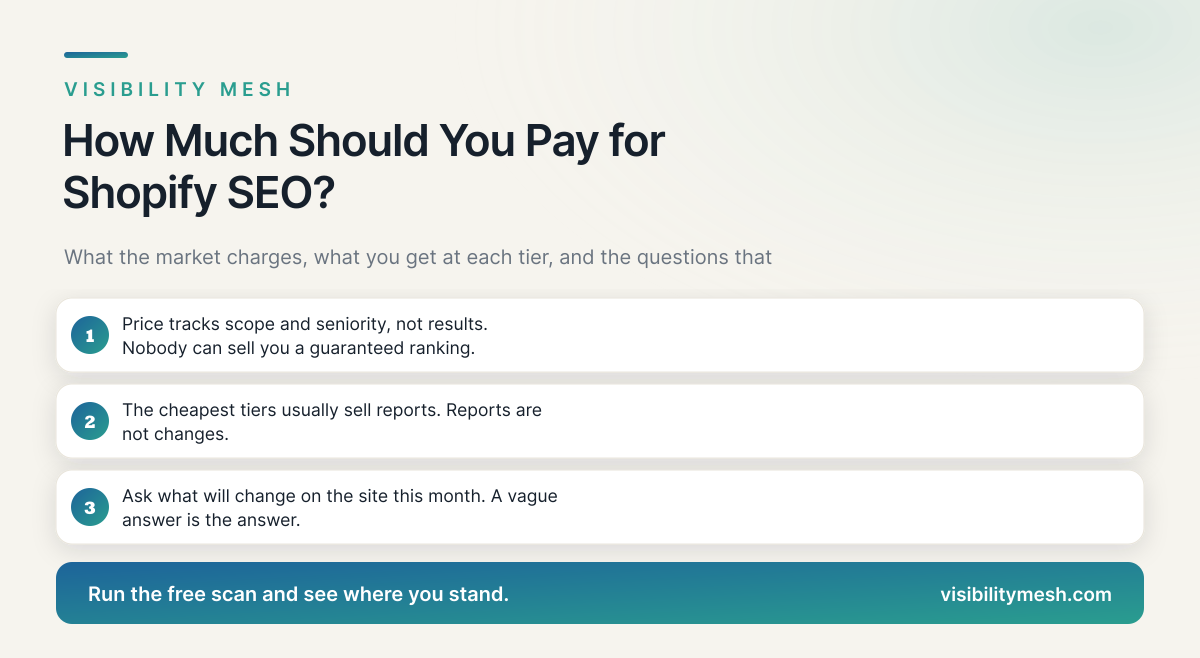 How Much Should You Pay for Shopify SEO?. A Visibility Mesh guide for ecommerce AI visibility.