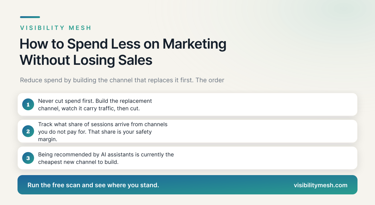 How to Spend Less on Marketing Without Losing Sales. A Visibility Mesh guide for ecommerce AI visibility.