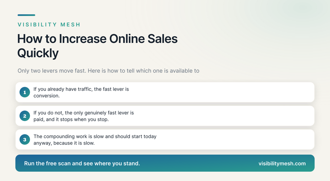 How to Increase Online Sales Quickly. A Visibility Mesh guide for ecommerce AI visibility.