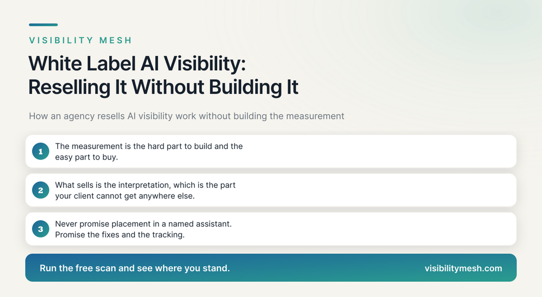 White Label AI Visibility: Reselling It Without Building It. A Visibility Mesh guide for ecommerce AI visibility.