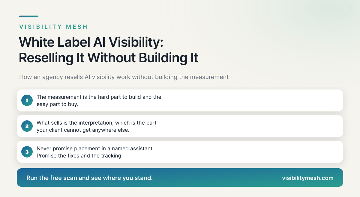 White Label AI Visibility: Reselling It Without Building It. A Visibility Mesh guide for ecommerce AI visibility.
