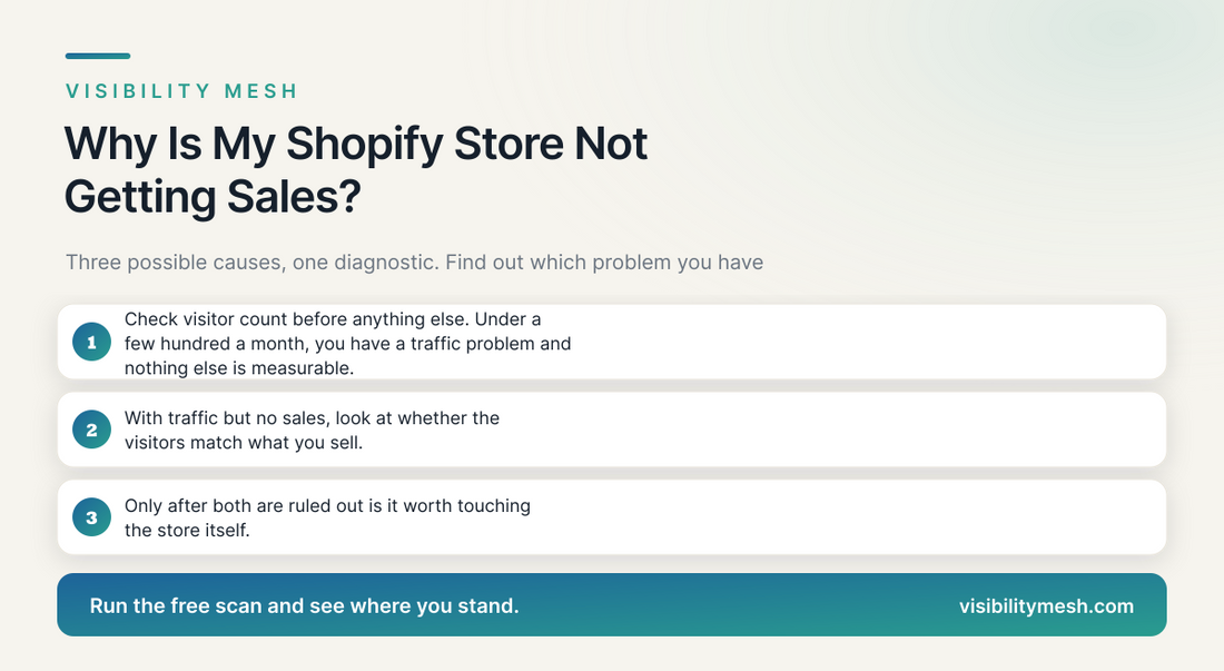 Why Is My Shopify Store Not Getting Sales?. A Visibility Mesh guide for ecommerce AI visibility.