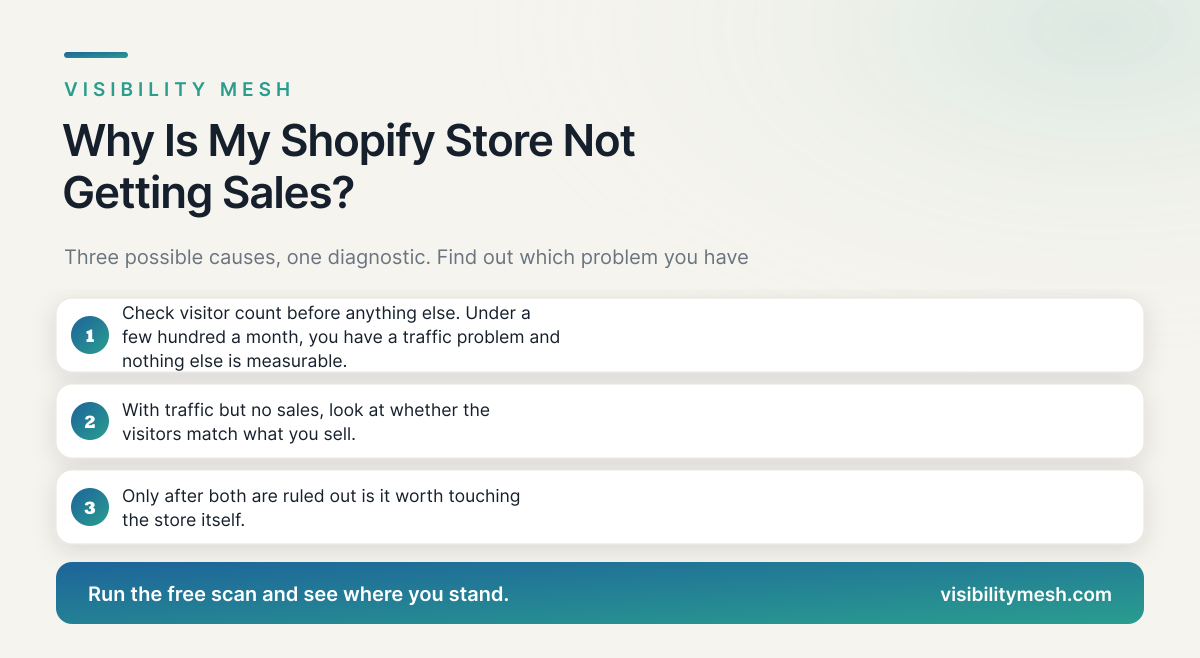 Why Is My Shopify Store Not Getting Sales?. A Visibility Mesh guide for ecommerce AI visibility.