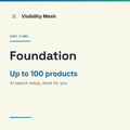 Visibility Mesh Foundation setup card: AI search setup done for you, up to 100 products